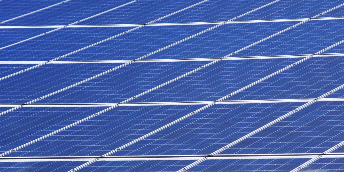 Rays Experts to commission the world’s largest solar park in India