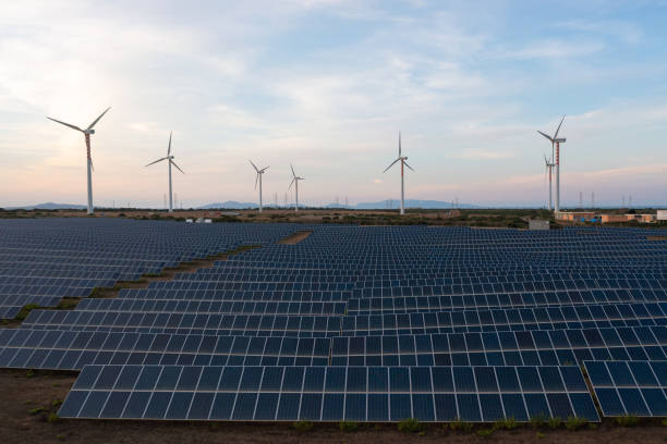 Reliance to invest $80.6 bn in Gujarat’s renewable projects