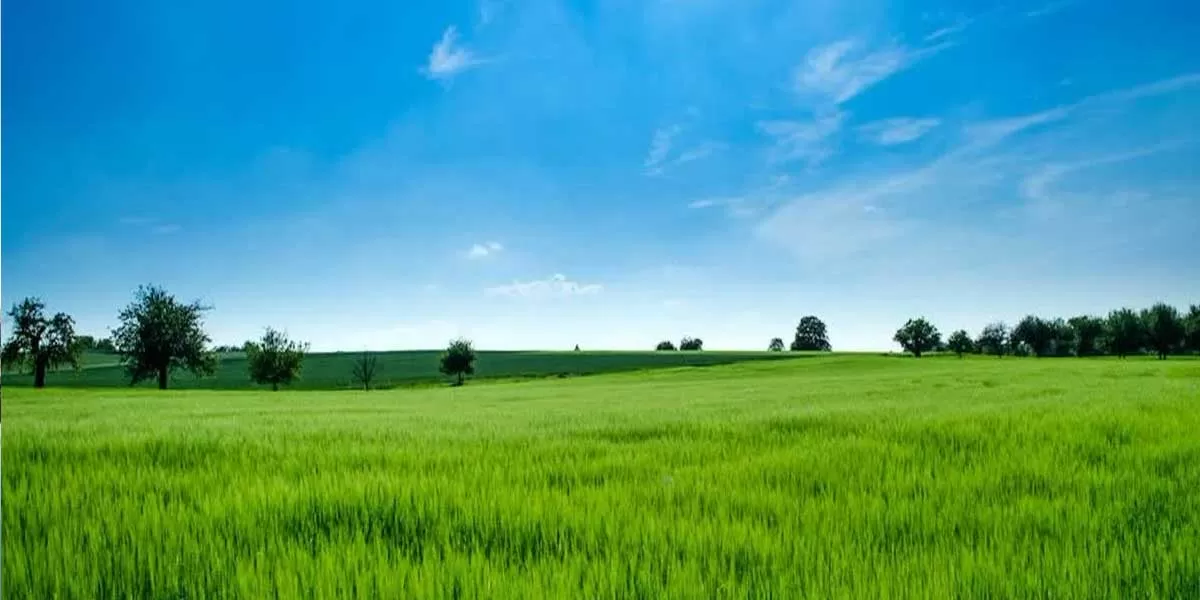 Andhra Pradesh Minister assures no worries on Land Titling Act