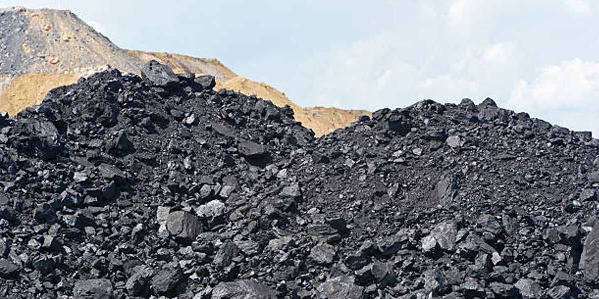 Punjab to import coal worth Rs 800 crore