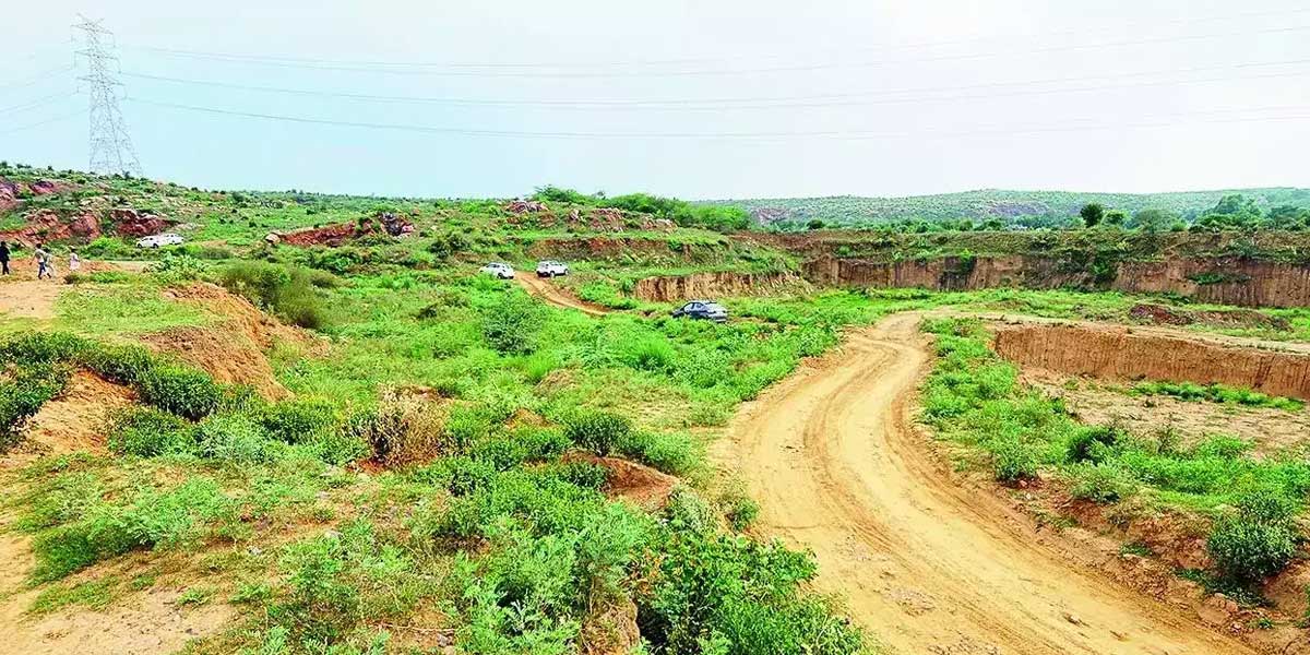 Illegal Farmhouses Destroy Aravali Trees