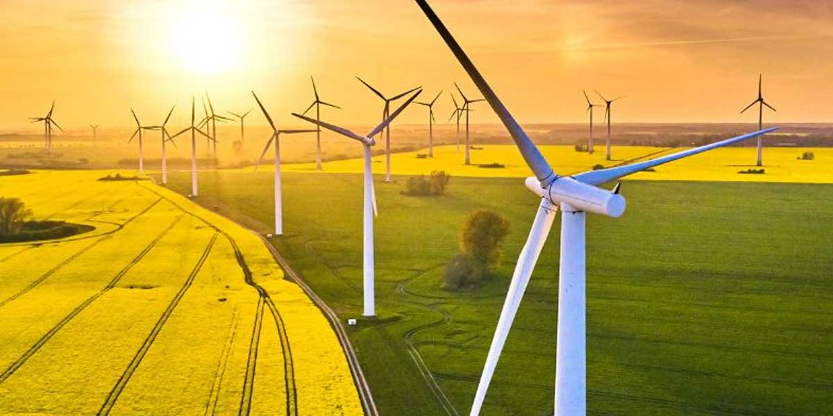 MSEDCL seeks bids to purchase 300 MW of wind power