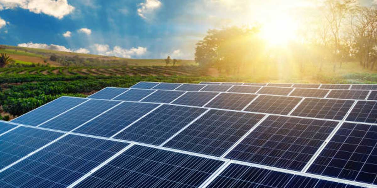 Hindustan Salts invites bids for solar projects in Gujarat