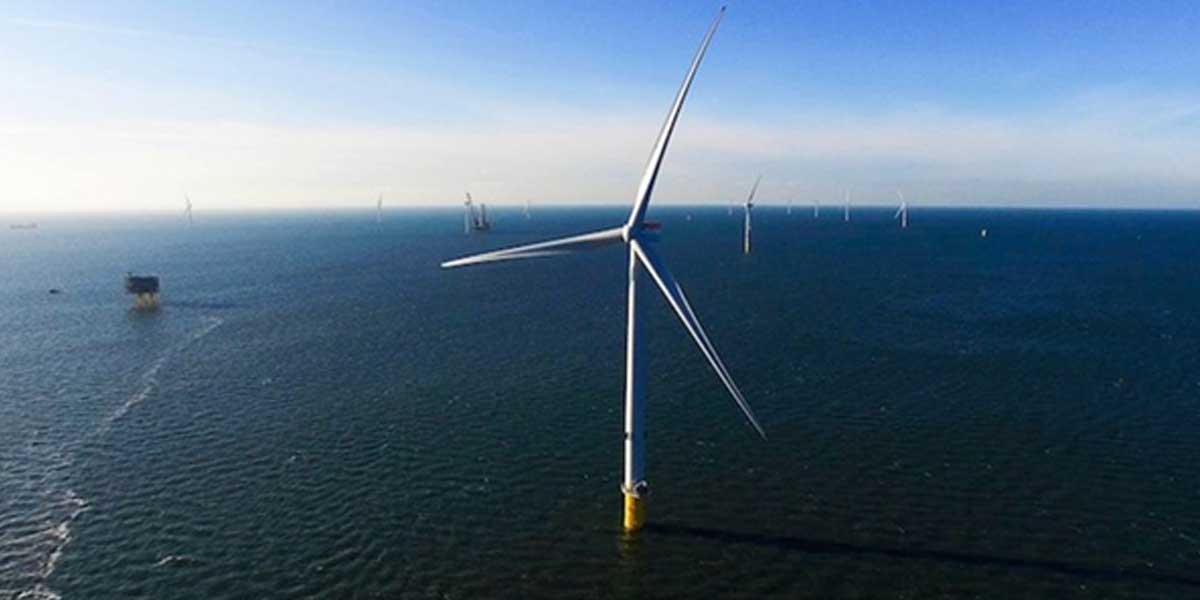 NTPC to partner with NIIF and ONGC to develop renewable assets