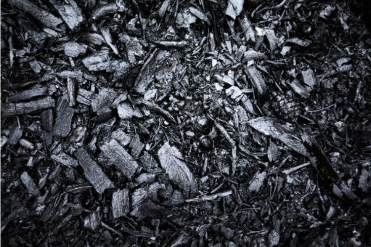 CIL notes 28% decline in coal allocation held via e-auction in April