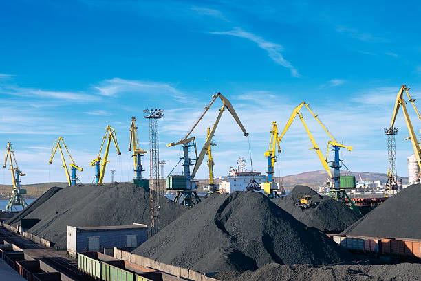 Coking coal imports in India rose to 4.61 mt in July