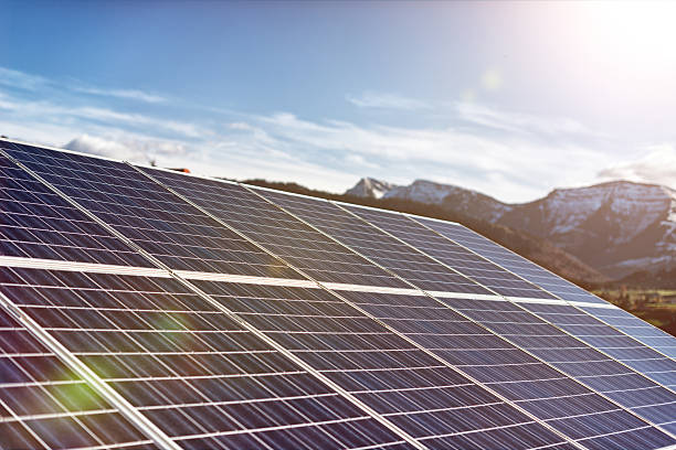 Palli in J&K becomes India's first carbon-neutral solar panchayat