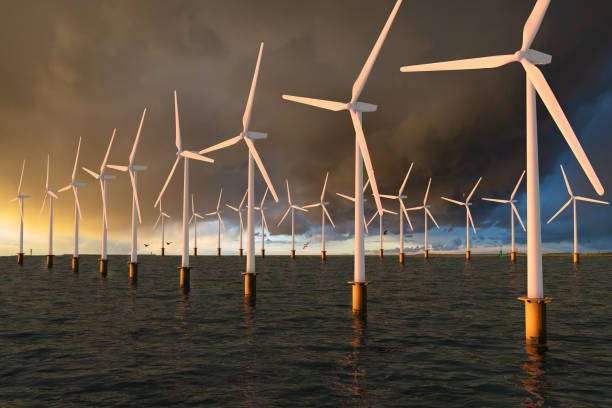 Tata Power partners with RWE to develop offshore wind projects
