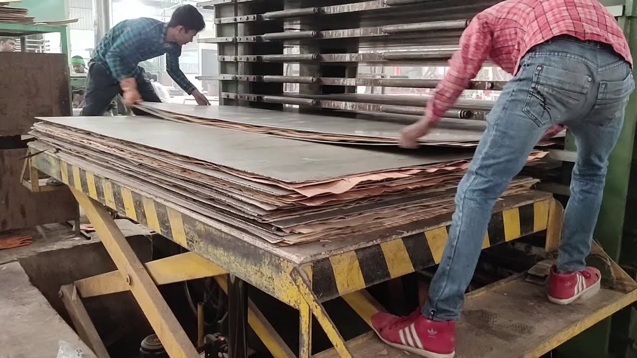HGIL to set up greenfield project for plywood in Tamil Nadu