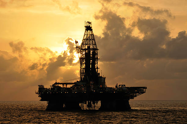 Adani-Welspun JV discovers gas in NELP block off Mumbai