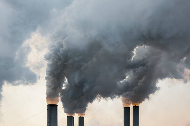 Coal plant pollution can lead to 8,300 deaths in India