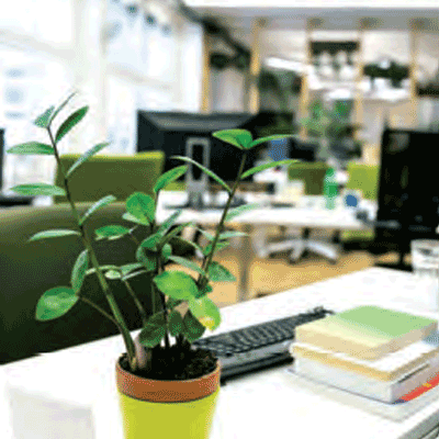 83 per cent growth in Green office stock