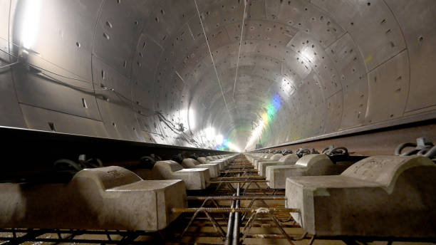 Govt to transfer tunnel project preparations to BRO