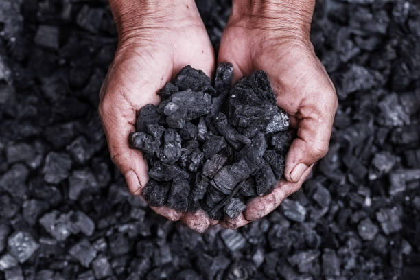 Coal Ministry rolls out Project Information & Management of SWCS