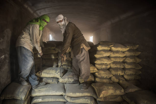 Adani-Holcim throws open offers for Ambuja, ACC of Rs 30k cr