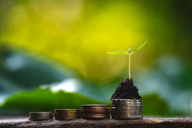 Govt plans to monetise SEZs, IT parks built on PSU land parcels