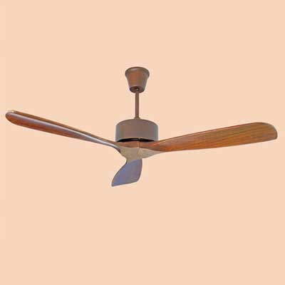 Designer Fans