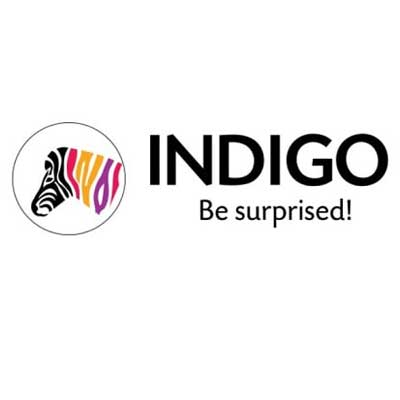 Sequoia Capital sheds 3.28% stake in Indigo Paints
