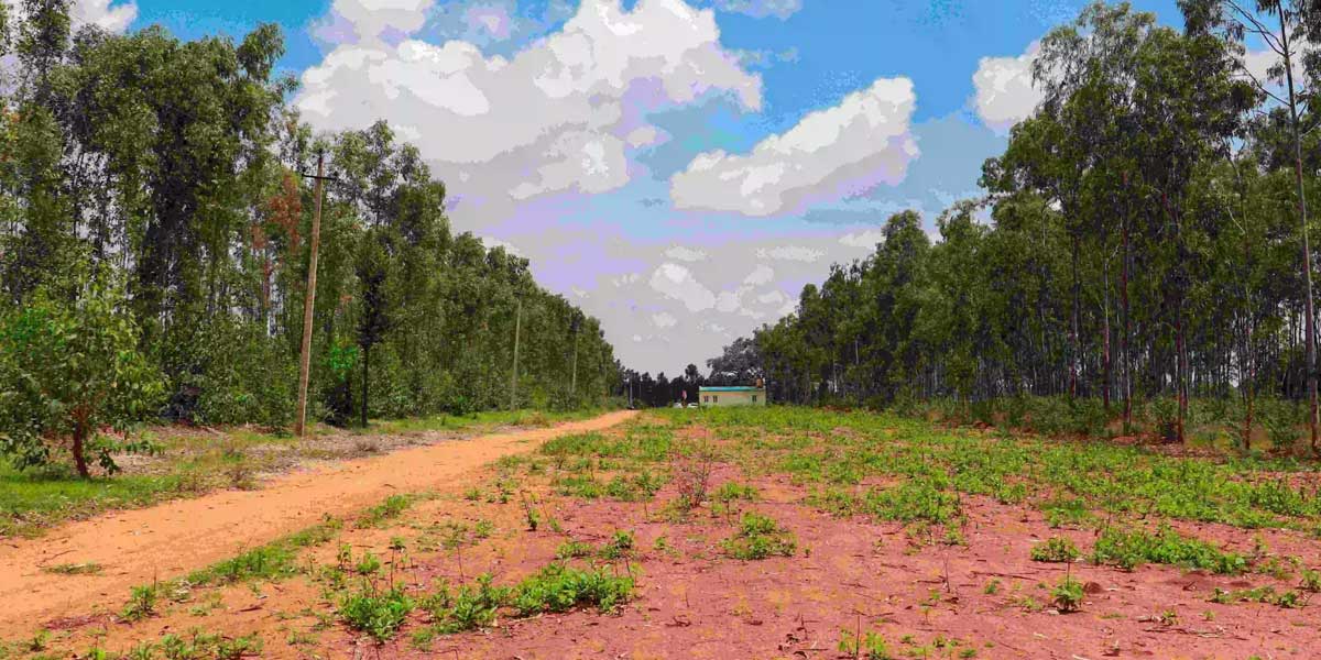 Bangalore Real Estate Company launches its ground-breaking project