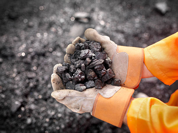 CIL notes capex worth Rs 10,717 cr in Apr-Dec with 37% growth