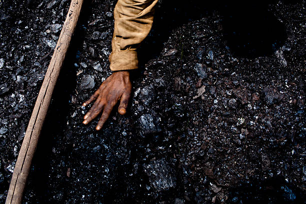 No financial aid, no exit: IEA chief backs India on coal