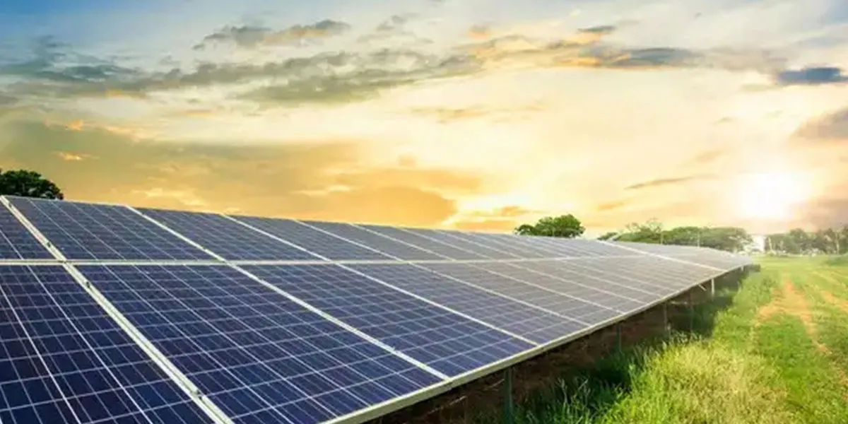 CAG Flags Coal India’s Slow Progress On Solar Targets