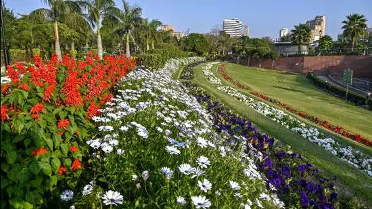 NDMC Plans Smart Irrigation to Cut Water Use by 70 Per Cent