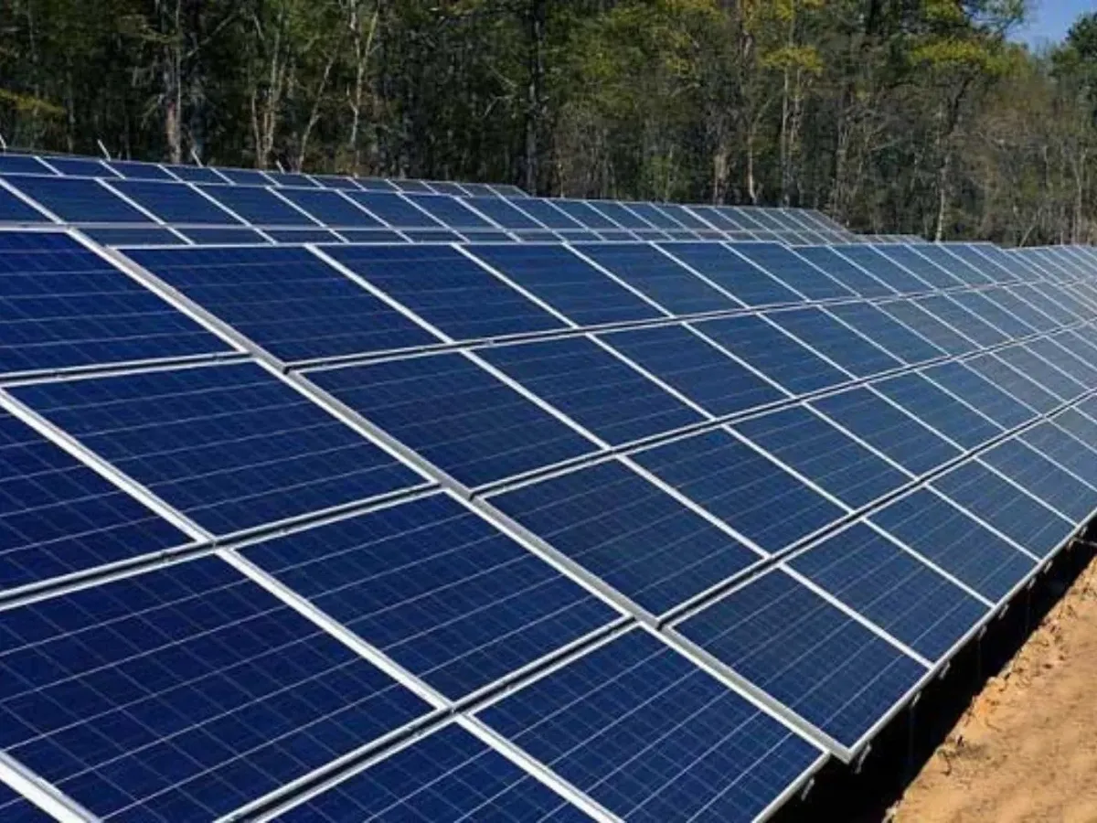 JK Lakshmi Cement Invests in 9.9 MW Solar Project