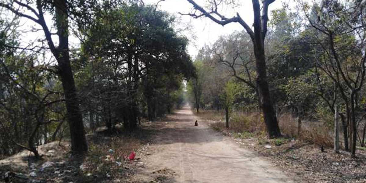Kanwar Marg project to take two more years to complete