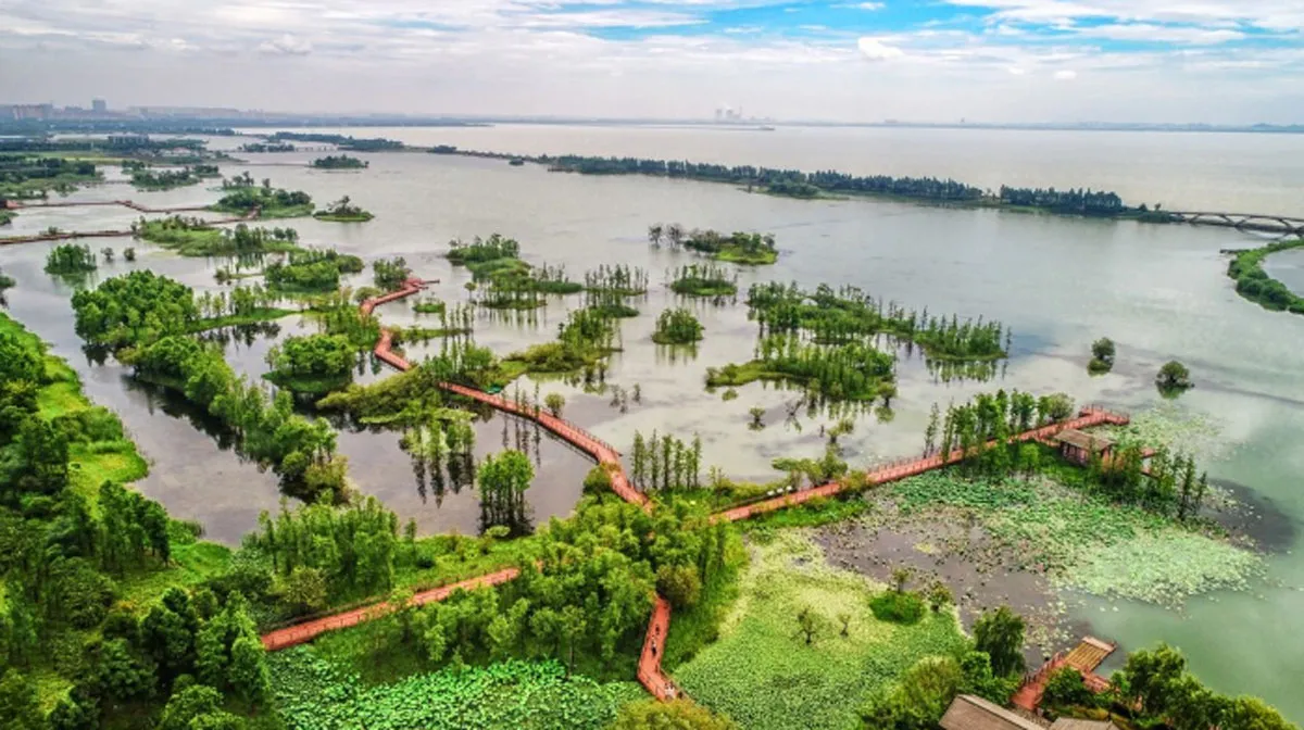 No Andhra Pradesh Projects Under Review for FMP Support