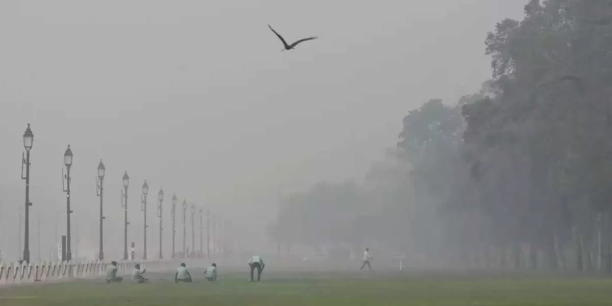 Delhi NCR Takes Bold Step: Bans Non-Essential Construction