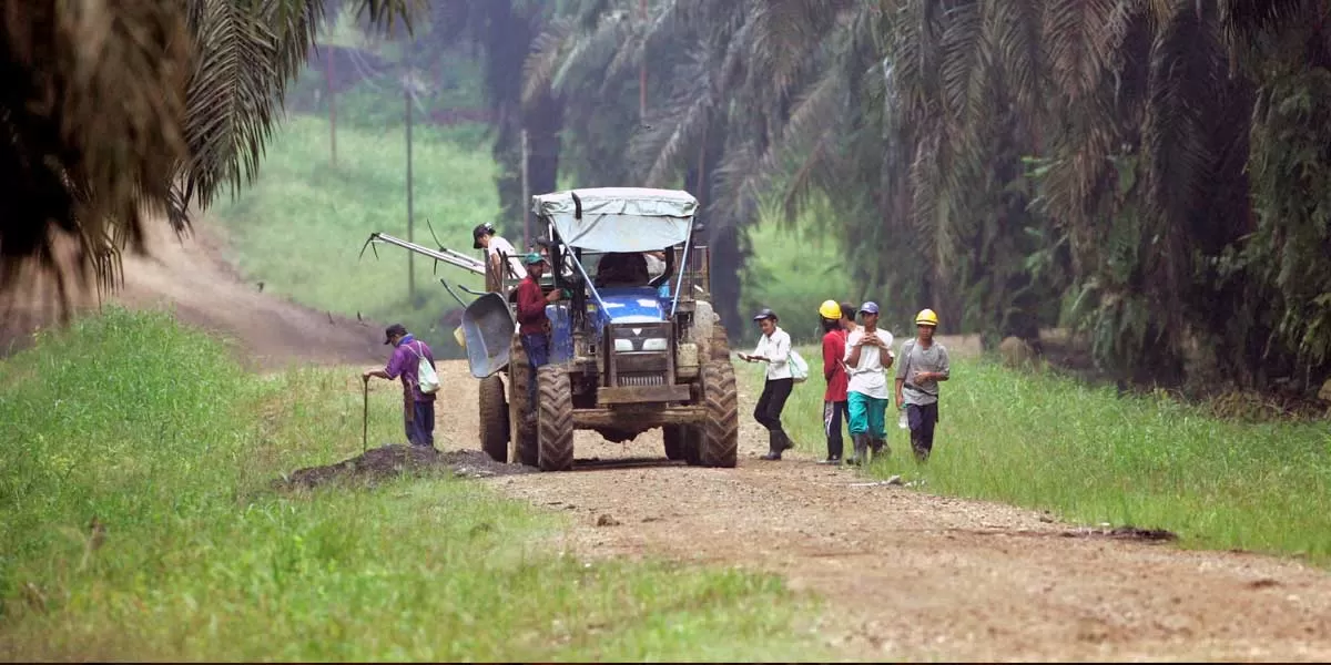 Malaysian Carbon Credit Auction Begins July