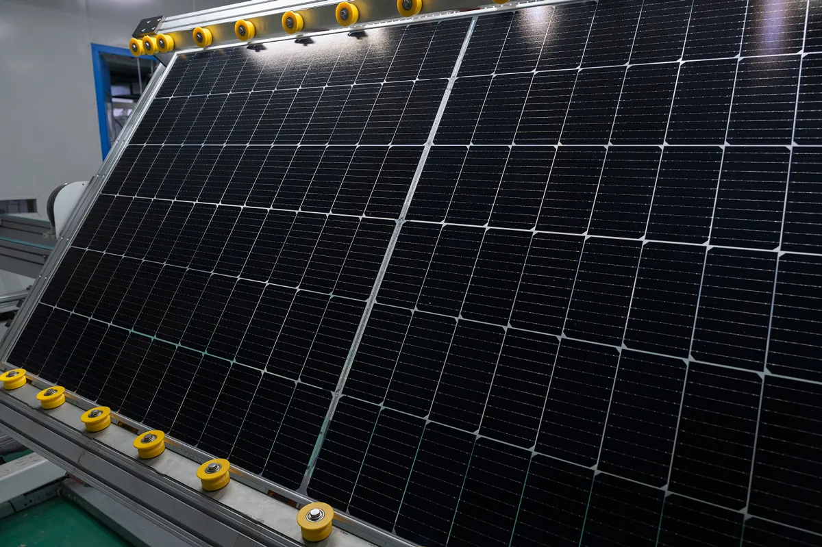 Websol Energy H1 PAT Soars 75% to Rs 114 Cr; EBITDA Margin at 45%