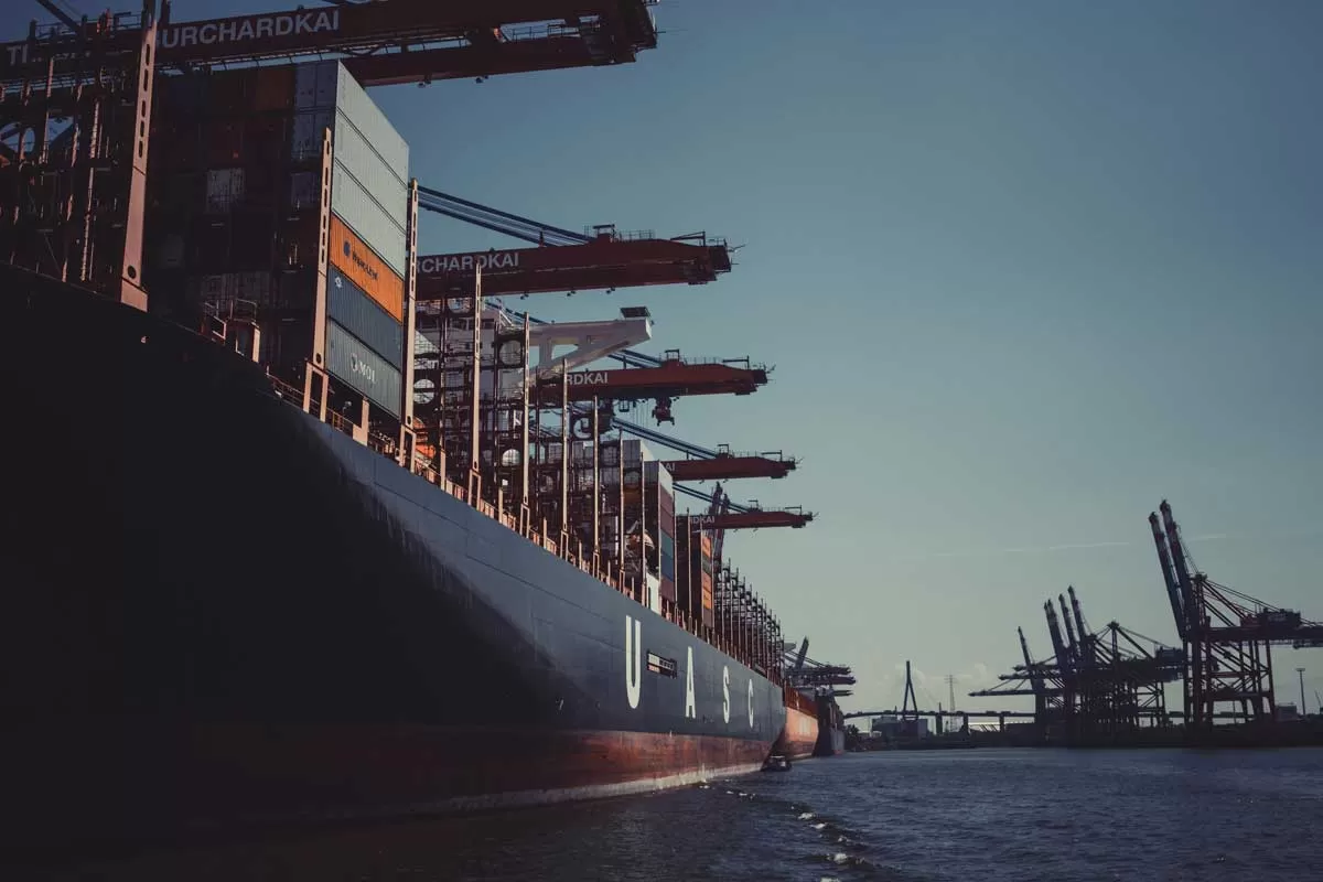 MSC Cleared for Adani Terminal Stake
