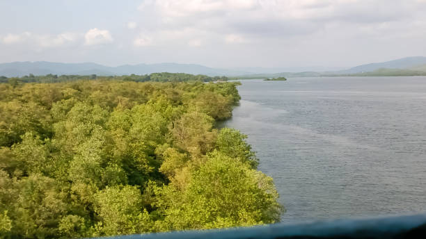 Mumbai CM calls for inquiry on mangrove protection at NMSEZ