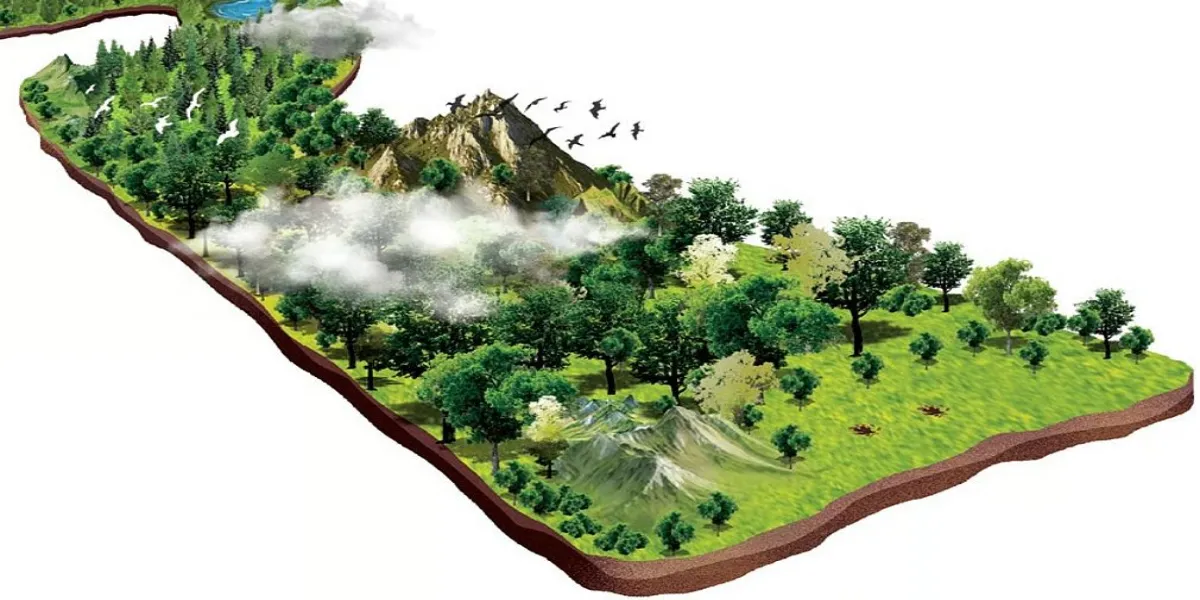 Odisha Seeks Scenic Coastal Route For Puri–Konark Rail Line