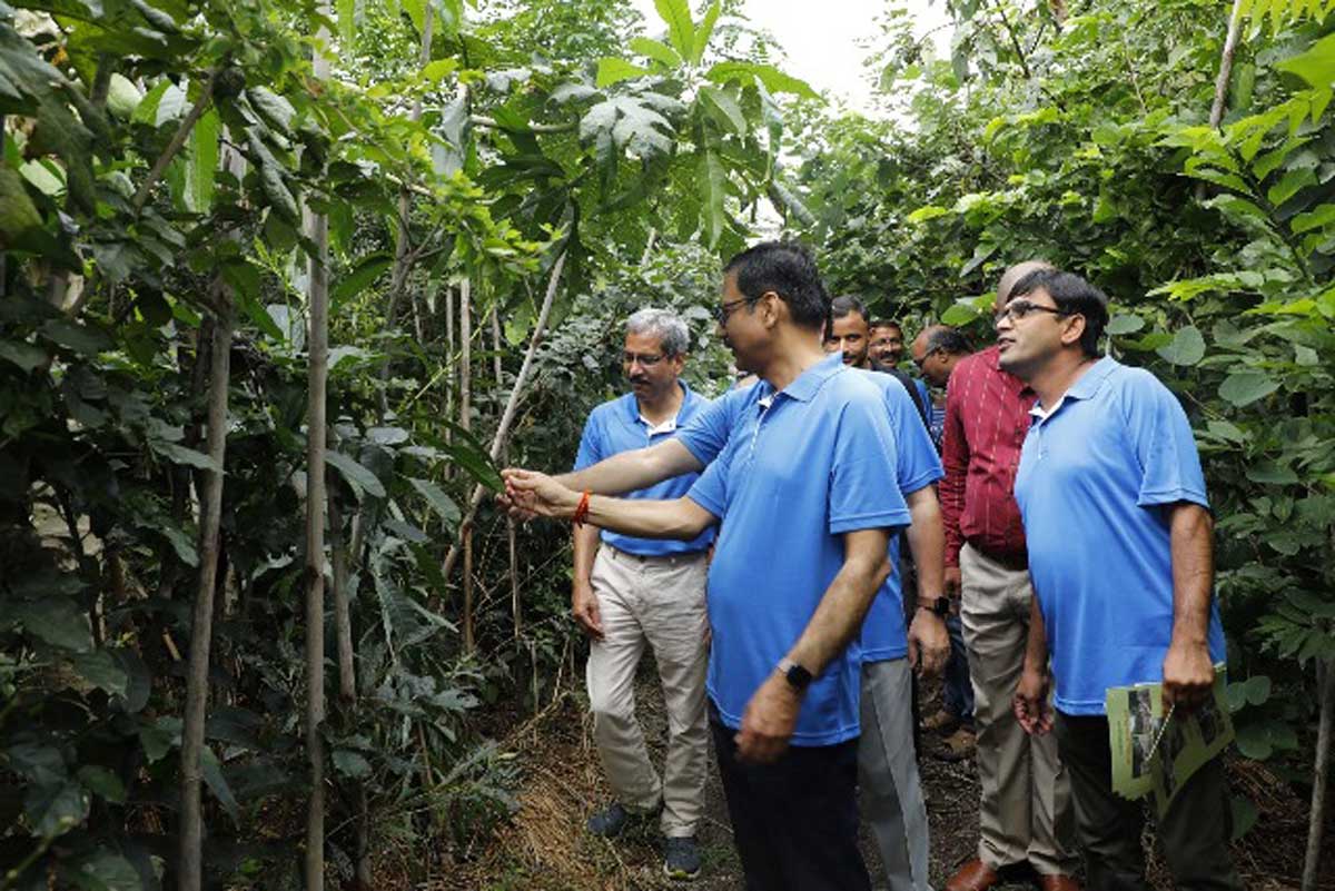 Railways develops Miyawaki plantation in Secunderabad