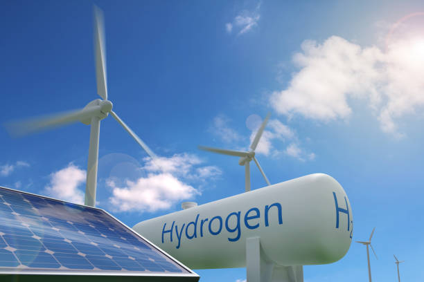 India eyes offshore wind power to become carbon-neutral by 2070