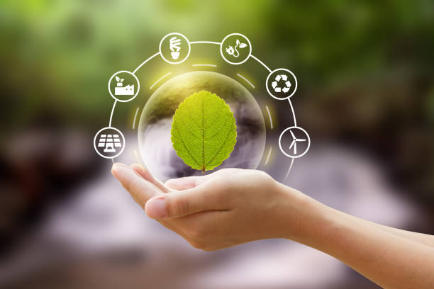 Ministry of Power to set up low carbon and energy efficiency tech