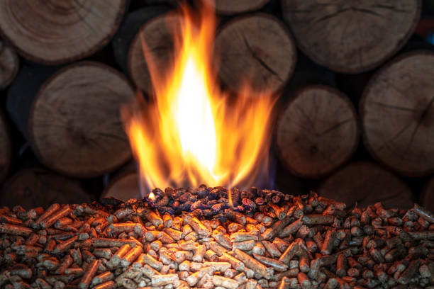 NTPC orders 9,30,000 tonnes of biomass pellets