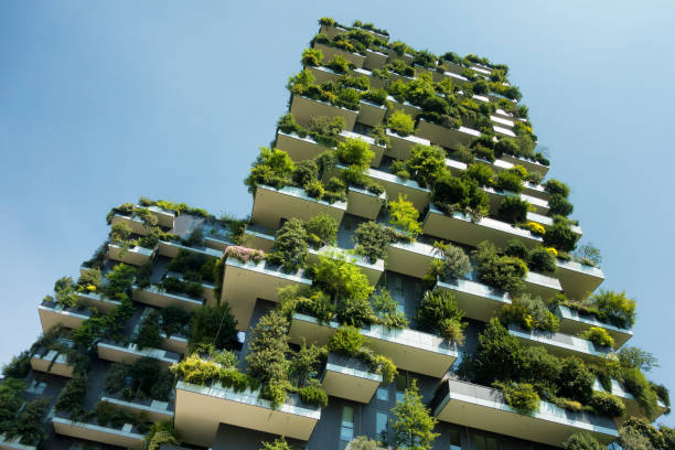 GMDA to prepare sustainable green plan for urban areas by year-end