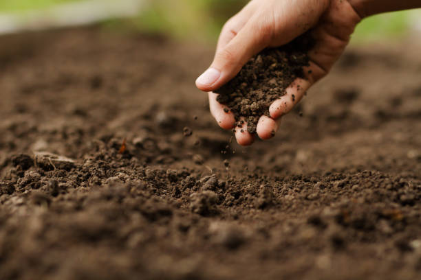 IIT Mandi to study climate change impact on rail embankments