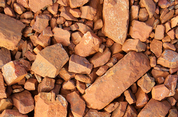 Goa requests MoF to levy nil export duty on low-grade iron ore