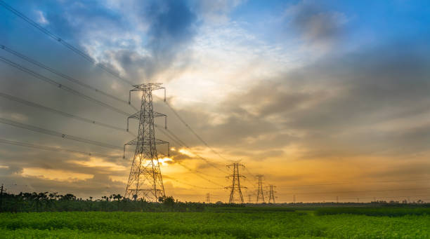AIPEF to conduct CAG audit of independent power producers