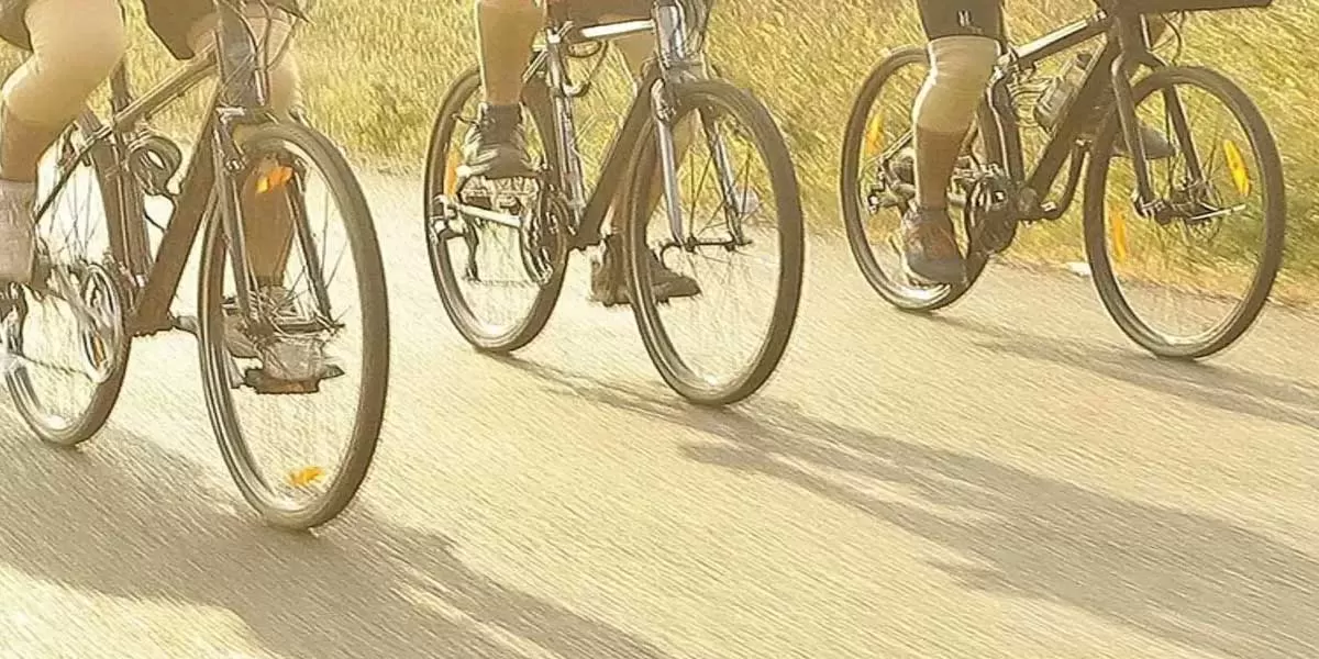 Thiruvananthapuram's First Cycle Track Nearing Completion