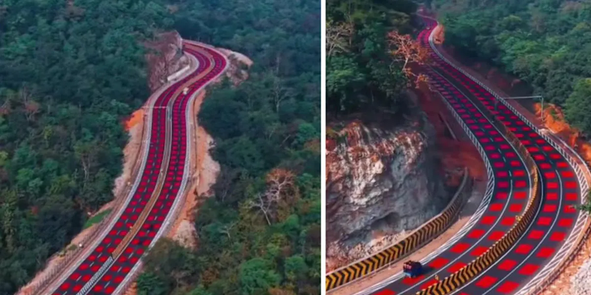 NHAI Introduces Wildlife-Safe Red Markings On NH-45