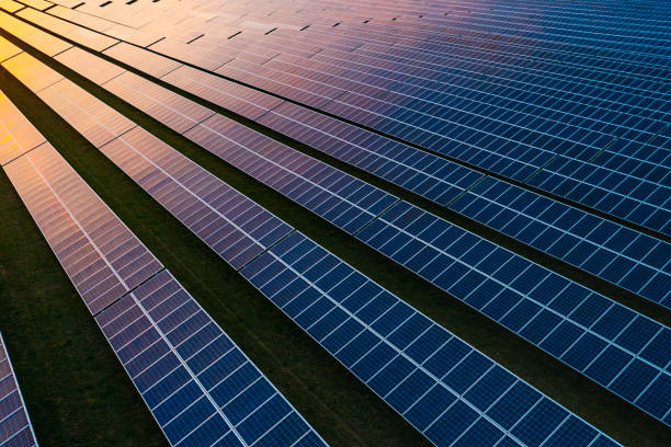 Premier Energies to invest Rs 1,200 cr to expand capacity to 3 GW