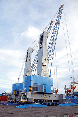 Rise of the machines