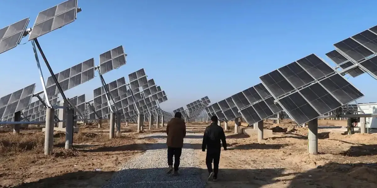 Saatvik Bags Rs 6.9 Billion Solar Module Supply Orders