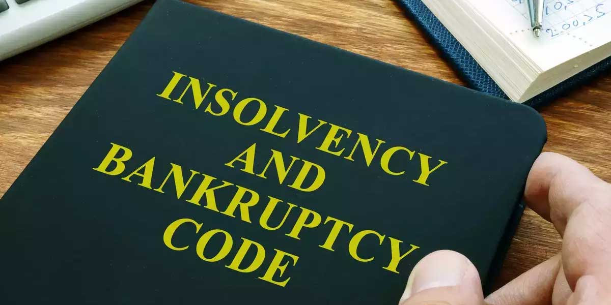 Expert panel suggests changes in insolvency law